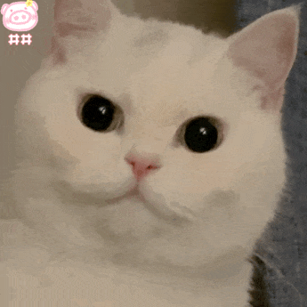 圖片關(guān)鍵詞 圖片